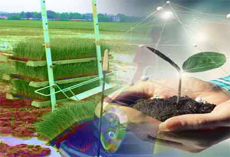 Educational Consulting's Influence on Equity and Well-Being in Education